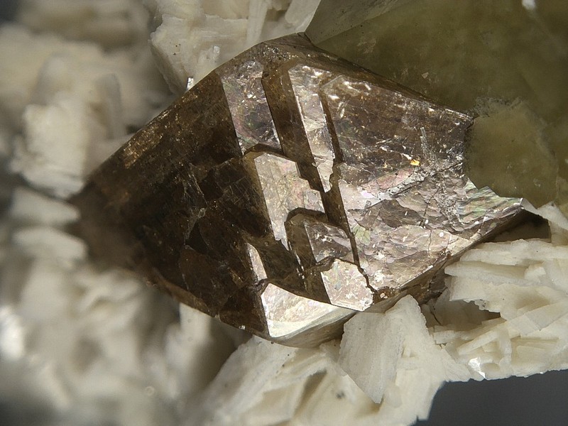 GM Diamant x Rafael Leite
